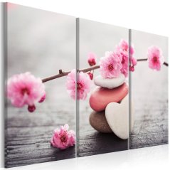Obraz - Zen: Čerešňové kvety III