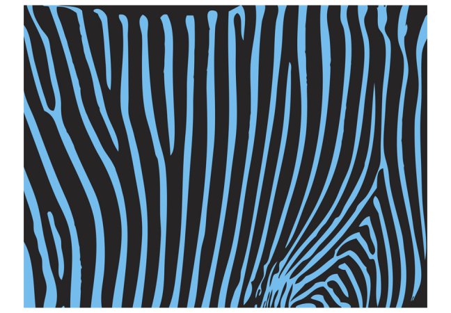 Fototapeta - Zebra vzor (tyrkysová)