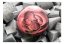 Fototapeta - Kamenná růže