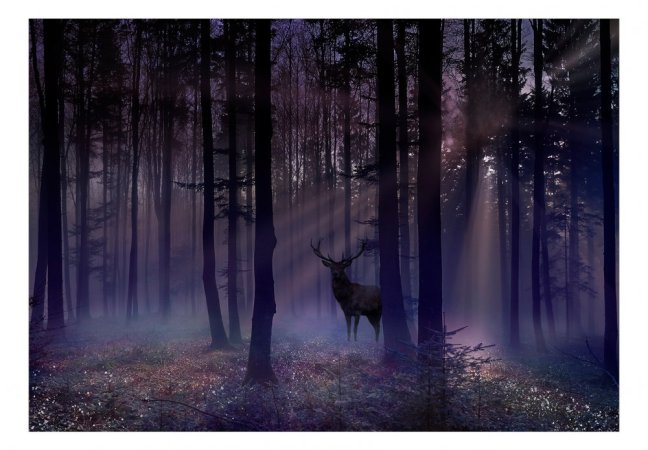 Samolepiaca fototapeta  - Mystický les II