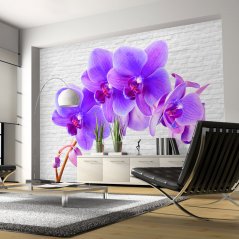 Fototapeta - Fialová orchidej II