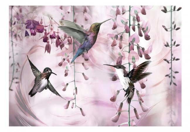 Samolepiaca fototapeta - Lietajúce kolibríky