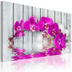 Obraz - Harmonie: orchidej