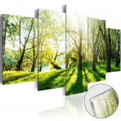 Obraz na akrylátovom skle - Zelené stromy