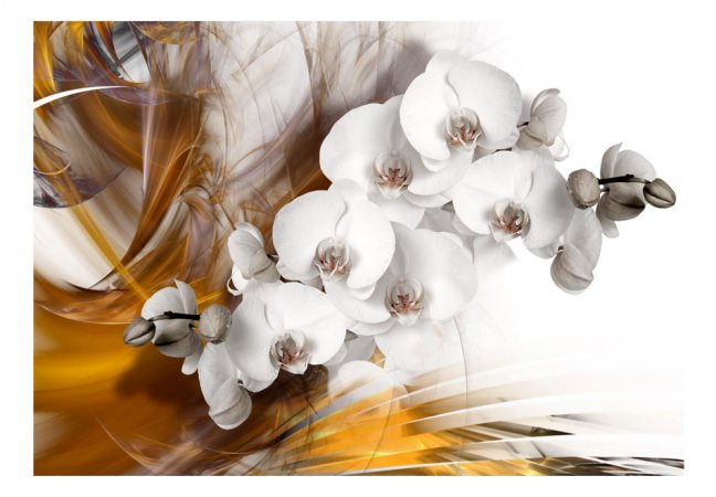 Fototapeta - Horiaca orchidea