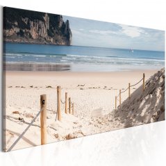 Obraz - Plážová stezka