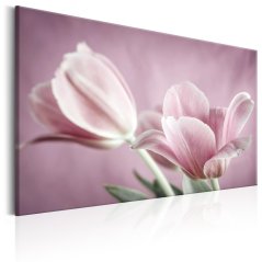 Obraz - Romantické tulipány