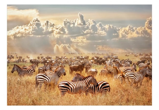 Samolepiaca fototapeta - Krajina zebier