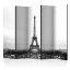 Paraván - Paříž: černobílá fotografie II