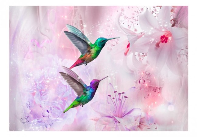 Fototapeta - Barevní kolibříci (fialoví)