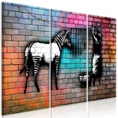 Obraz - Umytá zebra na barevných cihlách