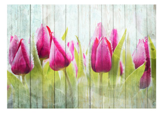 Fototapeta - Tulipány na bílém dřevě