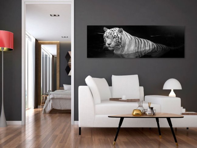 Obraz - Žiarivý tiger - biely