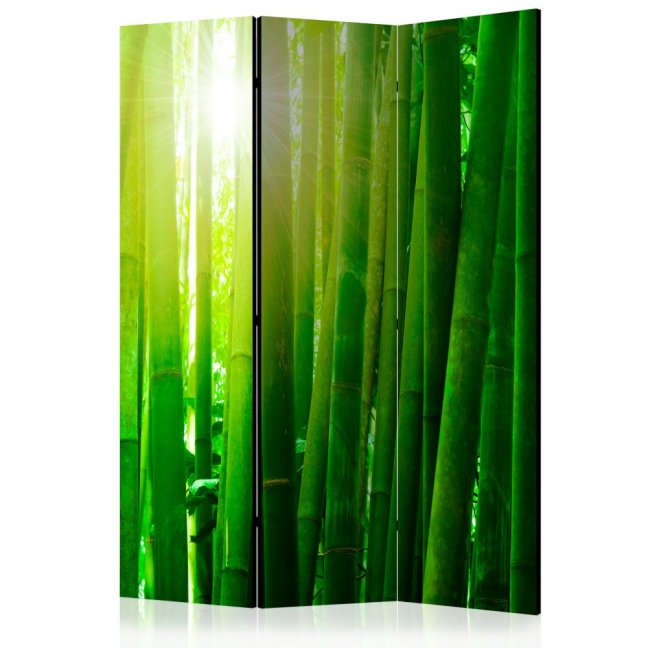 Paraván - Slunce a bambus