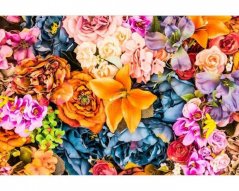 Fototapeta - Sušené květiny