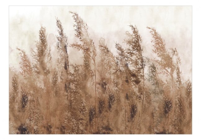 Samolepící fototapeta - Vysoké trávy - hnědé