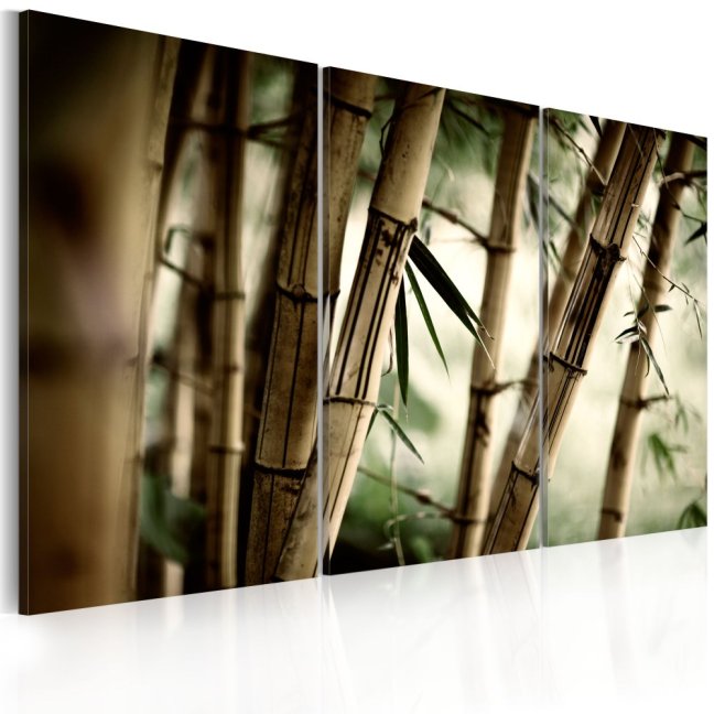 Obraz - Bambusová harmónia