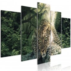 Obraz - Ležiaci leopard - svetlozelený