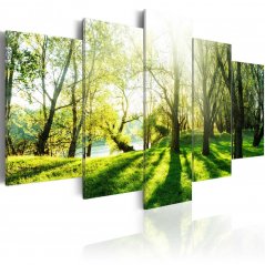 Obraz - Zelené stromy v krajině