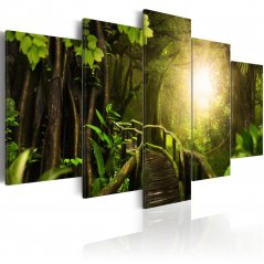 Obraz - Kouzelná džungle