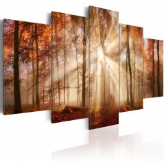 Obraz - Lesní mlha