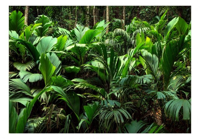 Samolepící fototapeta - Svěžest džungle