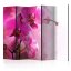 Paraván - Růžová orchidej II