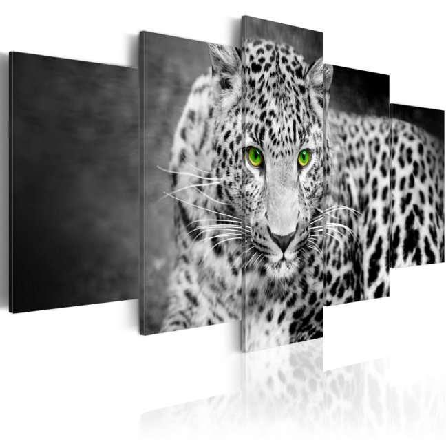 Obraz - Leopard - čiernobiely