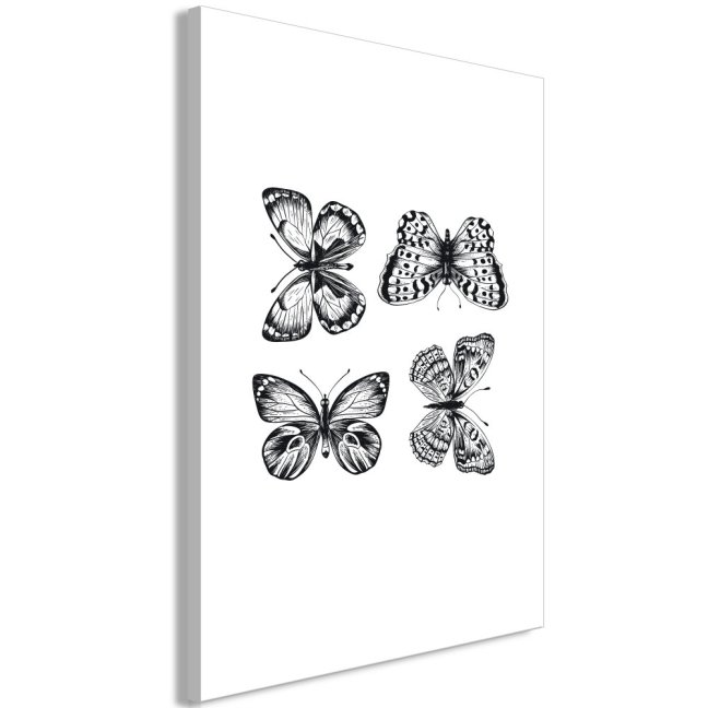 Obraz - Čtyři motýli