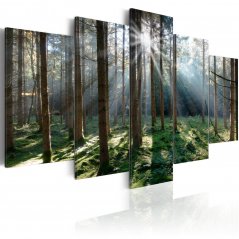 Obraz - Pohádkový les II