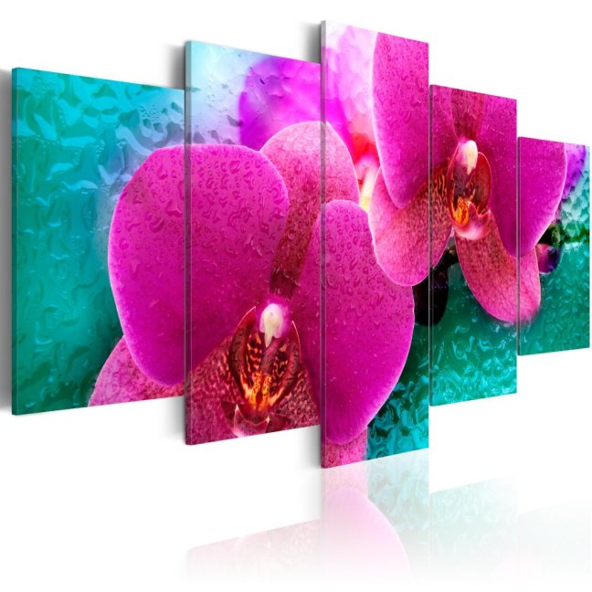 Obraz - Exotické orchideje