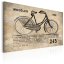 Obraz - N° 1245 - Bicyclette