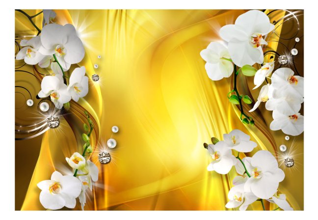 Fototapeta - Orchidea ve zlate
