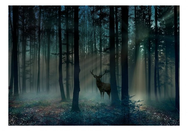 Samolepící fototapeta - Mystický les VII