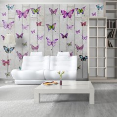 Fototapeta - Motýlí zeď