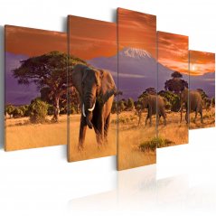 Obraz - Afrika: Slony