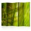 Paraván - Bambus - příroda Zen