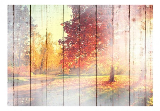 Fototapeta - Podzimní slunce