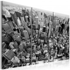 Obraz - Střechy newyorského Manhattanu