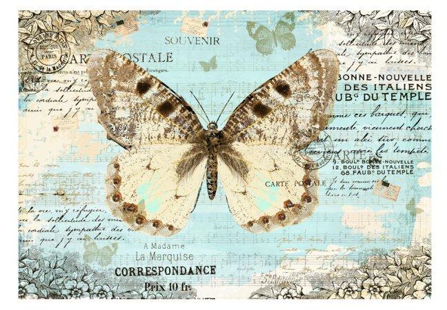 Fototapeta - Pohľadnice s motýľom