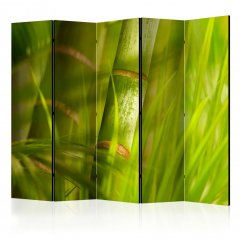 Paraván - Bambus - příroda Zen