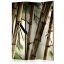Paraván - Hmla a bambusový les