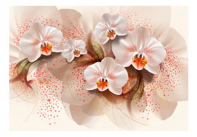 Fototapeta - Bledožlté orchidey