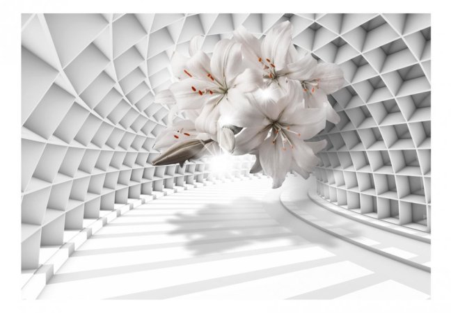 Fototapeta - Kvety v tuneli