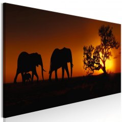 Obraz - Rodina slonov - oranžová