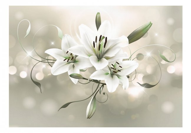 Fototapeta - Lilie - Květina mistrů