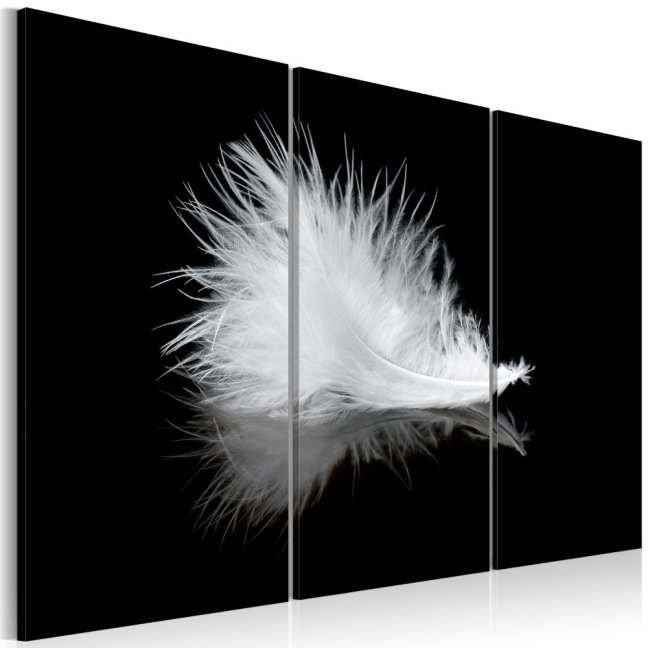 Obraz - Abstraktní černobílé peříčko