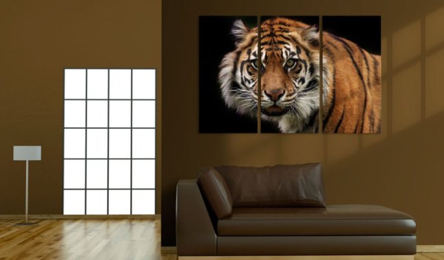 Obraz - Divoký tygr