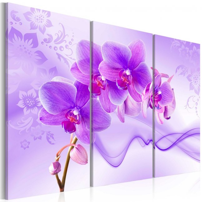Obraz - Éterická orchidea - fialová