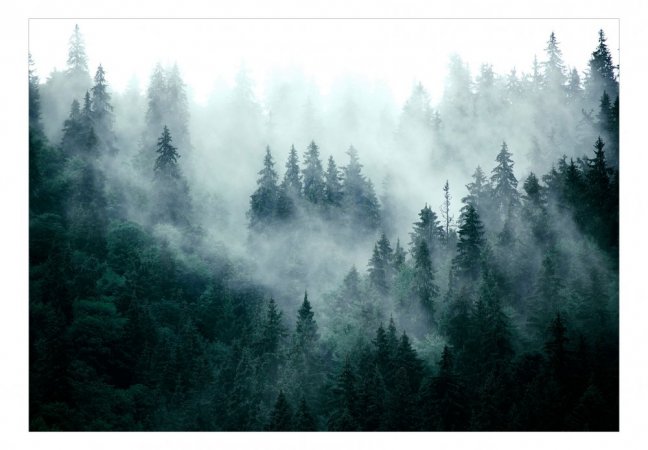 Fototapeta - Horský les (tmavě zelená)